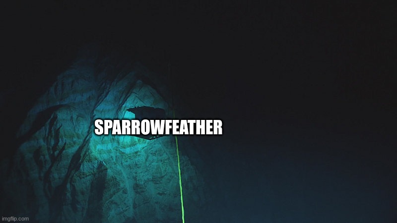 SPARROWFEATHER | made w/ Imgflip meme maker