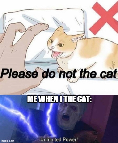 Do not the cat | ME WHEN I THE CAT: | image tagged in please do not the cat,unlimited power | made w/ Imgflip meme maker