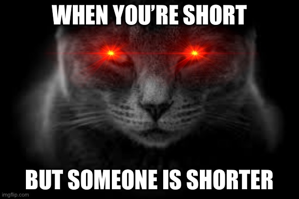 So true tho~ | WHEN YOU’RE SHORT; BUT SOMEONE IS SHORTER | image tagged in cats,lol,bruh | made w/ Imgflip meme maker