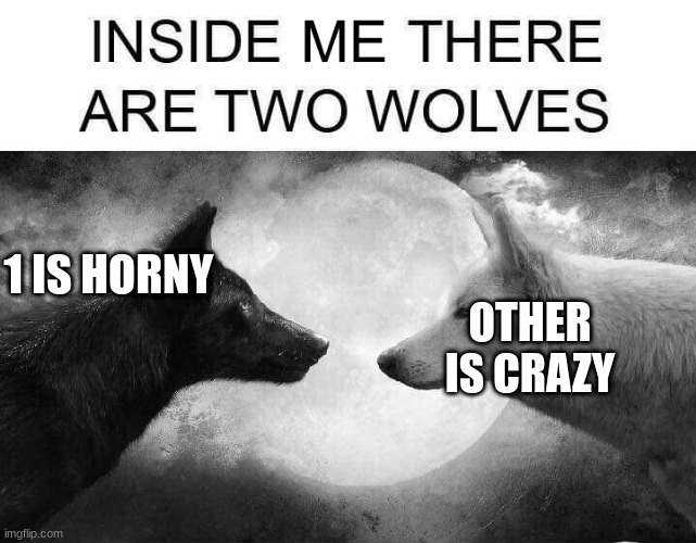 thats me | 1 IS HORNY; OTHER IS CRAZY | image tagged in inside me there are two wolves | made w/ Imgflip meme maker