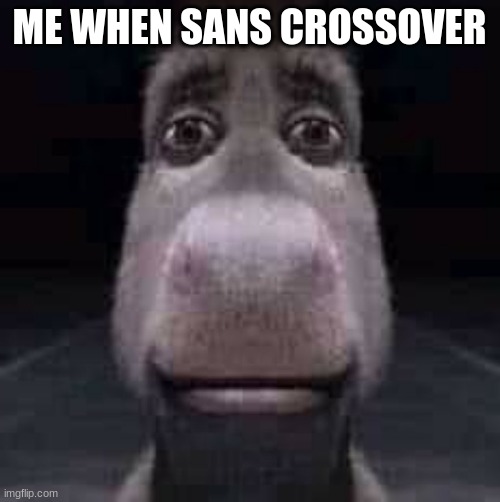 Donkey staring | ME WHEN SANS CROSSOVER | image tagged in donkey staring | made w/ Imgflip meme maker