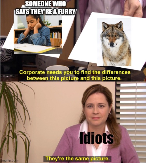 Meme #349 | SOMEONE WHO SAYS THEY'RE A FURRY; Idiots | image tagged in memes,they're the same picture,furries,wolves,anti furry,true | made w/ Imgflip meme maker