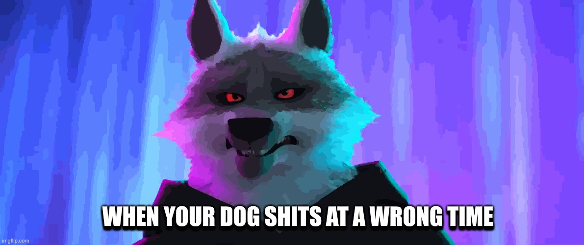 Wrong time | WHEN YOUR DOG SHITS AT A WRONG TIME; WHEN YOUR DOG SHITS AT A WRONG TIME | made w/ Imgflip meme maker