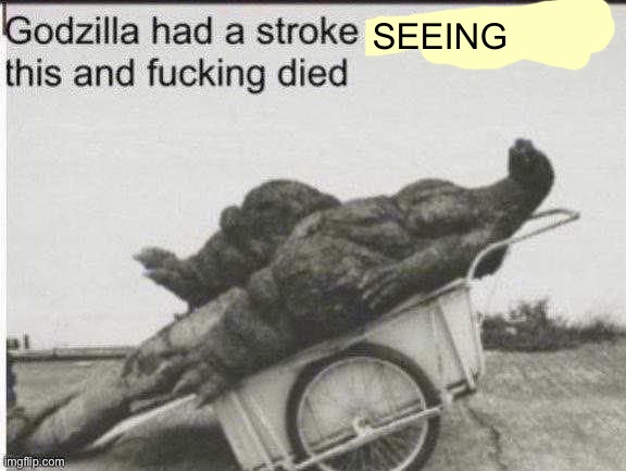 Godzilla had a stroke trying to read this and fucking died | SEEING | image tagged in godzilla had a stroke trying to read this and fucking died | made w/ Imgflip meme maker