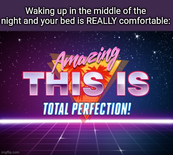 Amazing, This is total Perfection!! | Waking up in the middle of the night and your bed is REALLY comfortable: | image tagged in amazing this is total perfection | made w/ Imgflip meme maker
