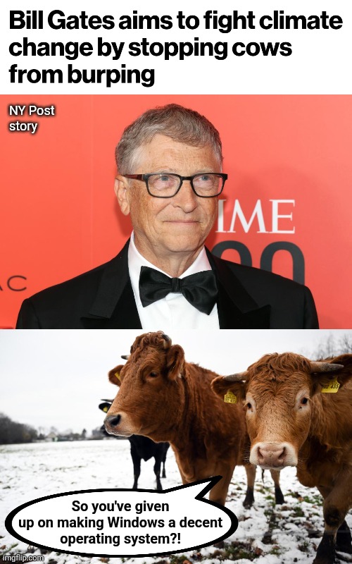 Actually, he might do less damage messing with cow burps than his other shenanigans | NY Post
story; So you've given
up on making Windows a decent
operating system?! | image tagged in memes,bill gates,cows,burps,climate change,democrats | made w/ Imgflip meme maker