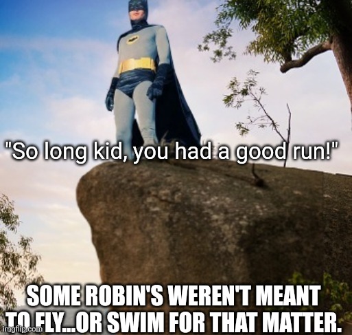 "So long kid, you had a good run!" SOME ROBIN'S WEREN'T MEANT TO FLY...OR SWIM FOR THAT MATTER. | made w/ Imgflip meme maker