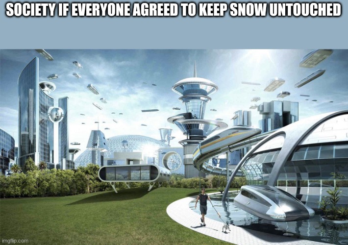 Just don't touch snow | SOCIETY IF EVERYONE AGREED TO KEEP SNOW UNTOUCHED | image tagged in the future world if,untouched snow | made w/ Imgflip meme maker