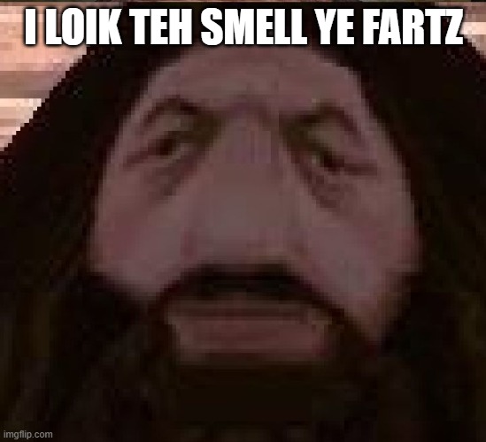 yor fartz smell like eggs | I LOIK TEH SMELL YE FARTZ | image tagged in hagrid ps1 | made w/ Imgflip meme maker