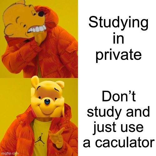 I was bored | Studying in private; Don’t study and just use a calculator | image tagged in memes,drake hotline bling,tuxedo winnie the pooh | made w/ Imgflip meme maker