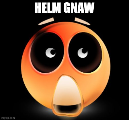Bro is flabbergasted | HELM GNAW | image tagged in bro is flabbergasted | made w/ Imgflip meme maker