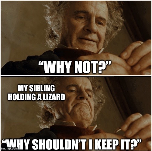 Every time we find one they try… | “WHY NOT?”; MY SIBLING HOLDING A LIZARD; “WHY SHOULDN’T I KEEP IT?” | image tagged in bilbo - why shouldn t i keep it | made w/ Imgflip meme maker