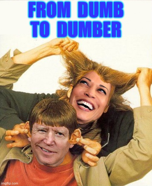 Once They Cancel Old Joe | FROM  DUMB
TO  DUMBER | image tagged in dumb and dumber,memes,kamala harris,joe biden,first world problems,why can't you just be normal | made w/ Imgflip meme maker