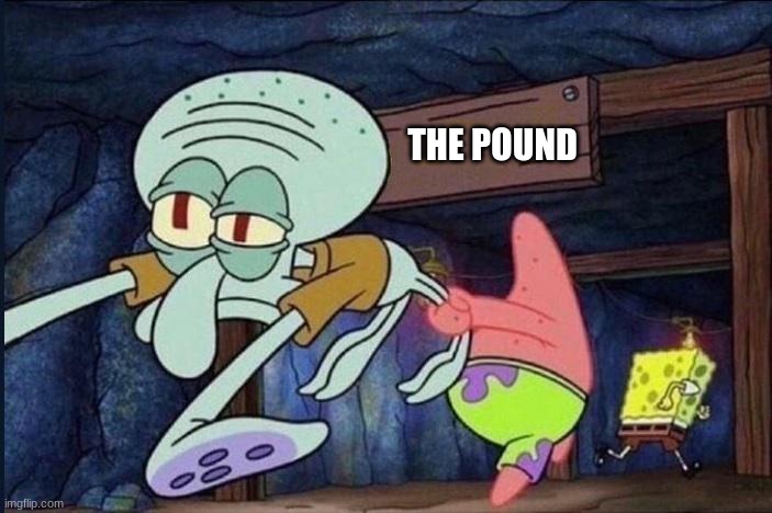 Patrick dragging squidward | THE POUND | image tagged in patrick dragging squidward | made w/ Imgflip meme maker