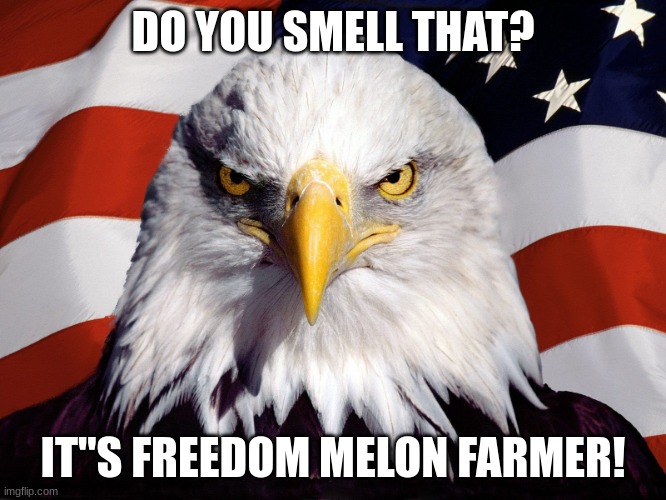 Freedom Eagle | DO YOU SMELL THAT? IT"S FREEDOM MELON FARMER! | image tagged in freedom eagle | made w/ Imgflip meme maker