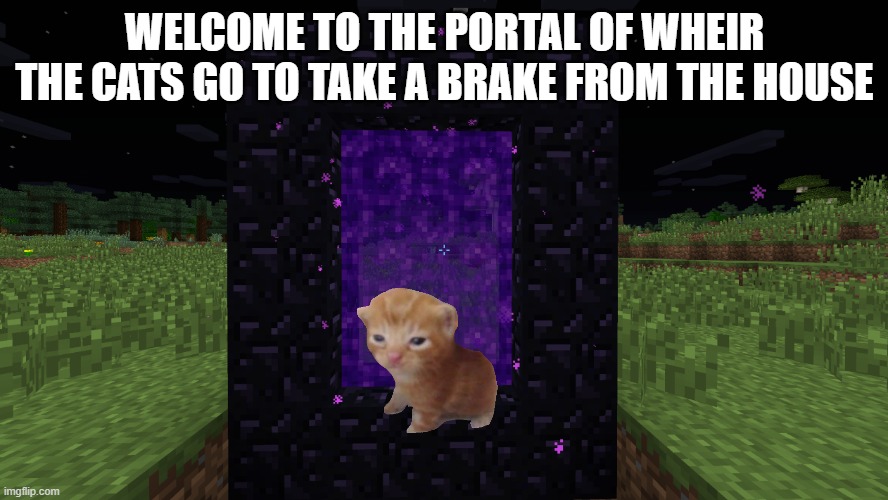 Nether Portal | WELCOME TO THE PORTAL OF WHEIR THE CATS GO TO TAKE A BRAKE FROM THE HOUSE | image tagged in nether portal | made w/ Imgflip meme maker