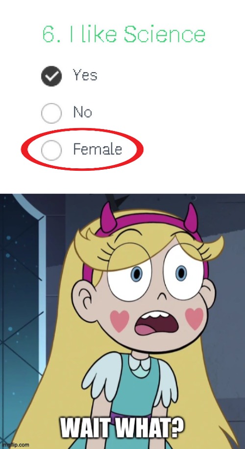 Ah yes, "Female" as an Yes/No Option | image tagged in star butterfly wait what,star vs the forces of evil,you had one job,memes,failure,design fails | made w/ Imgflip meme maker