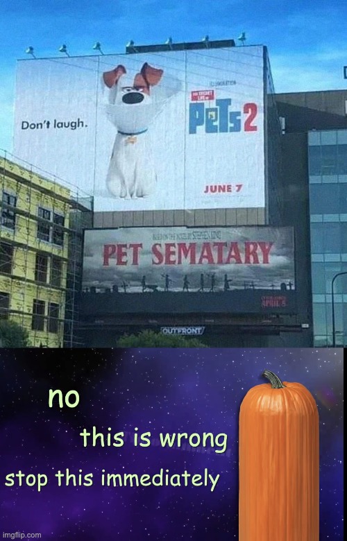 Wait WHA-- | image tagged in pumpkin facts,memes,you had one job,design fails,failure,stupid signs | made w/ Imgflip meme maker