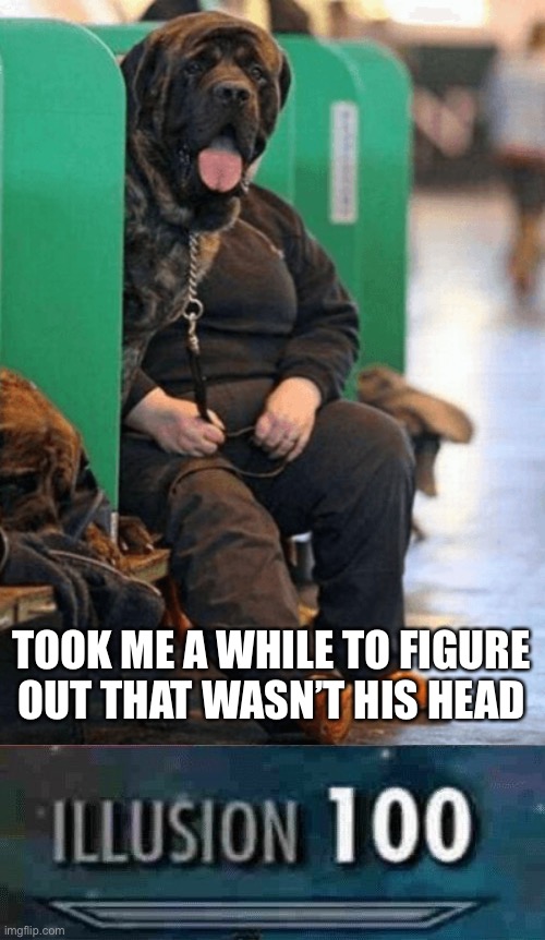 Get the furry-gun! Wait nevermind | TOOK ME A WHILE TO FIGURE OUT THAT WASN’T HIS HEAD | image tagged in illusion 100 | made w/ Imgflip meme maker