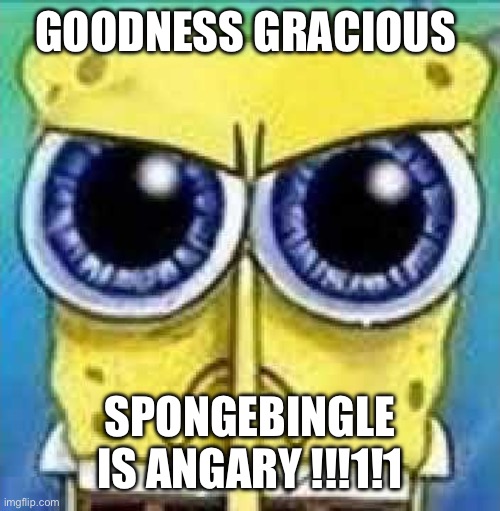Angry Spunch Bop | GOODNESS GRACIOUS; SPONGEBINGLE IS ANGARY !!!1!1 | image tagged in angry spunch bop | made w/ Imgflip meme maker