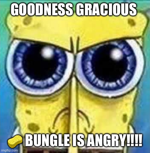 Angry Spunch Bop | GOODNESS GRACIOUS; 🧽 BUNGLE IS ANGRY!!!! | image tagged in angry spunch bop | made w/ Imgflip meme maker