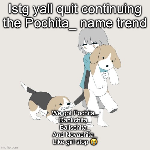 Avogado6 | Istg yall quit continuing the Pochita_ name trend; We got Pochita_
Dankchita_
Ballschita_
And Novachita_
Like girl stop 😭 | image tagged in avogado6 | made w/ Imgflip meme maker