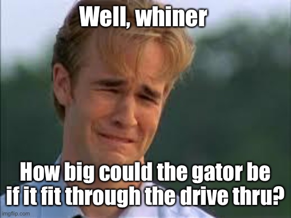 Whiners | Well, whiner How big could the gator be if it fit through the drive thru? | image tagged in whiners | made w/ Imgflip meme maker