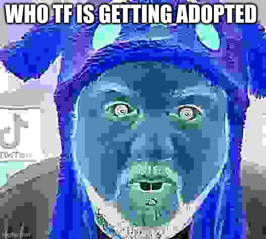 Nerd | WHO TF IS GETTING ADOPTED | image tagged in nerd | made w/ Imgflip meme maker