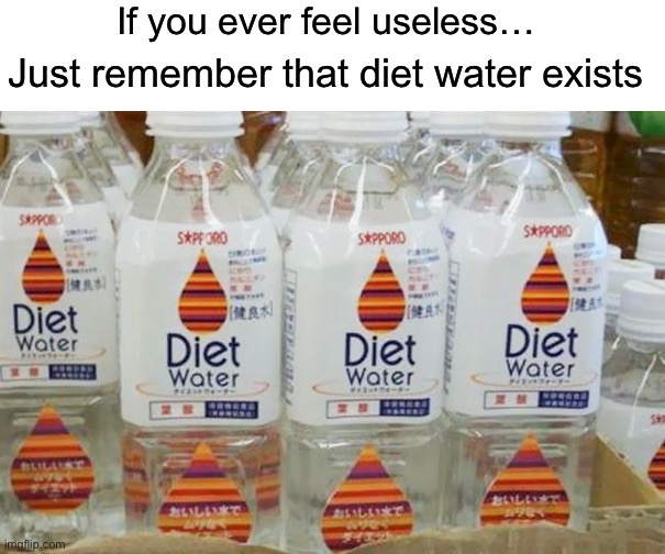I’m not joking, this is literally a thing |  If you ever feel useless…; Just remember that diet water exists | image tagged in memes,funny,water,wait what,wtf,but why why would you do that | made w/ Imgflip meme maker