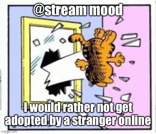Garfield gets thrown out of a window | @stream mood; I would rather not get adopted by a stranger online | image tagged in garfield gets thrown out of a window | made w/ Imgflip meme maker