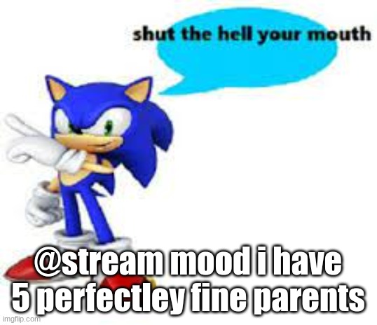 Shut the hell your mouth | @stream mood i have 5 perfectley fine parents | image tagged in shut the hell your mouth | made w/ Imgflip meme maker