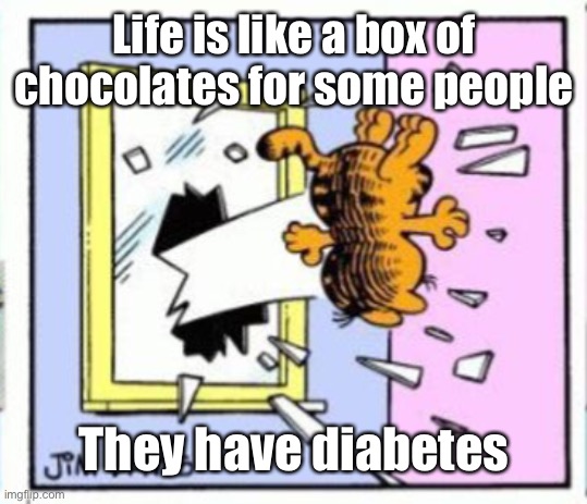 Garfield gets thrown out of a window | Life is like a box of chocolates for some people; They have diabetes | image tagged in garfield gets thrown out of a window | made w/ Imgflip meme maker