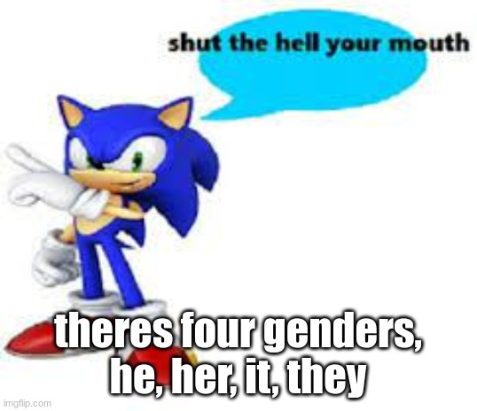 Shut the hell your mouth | theres four genders, he, her, it, they | image tagged in shut the hell your mouth | made w/ Imgflip meme maker