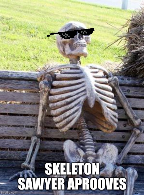 Waiting Skeleton Meme | SKELETON SAWYER APROOVES | image tagged in memes,waiting skeleton | made w/ Imgflip meme maker