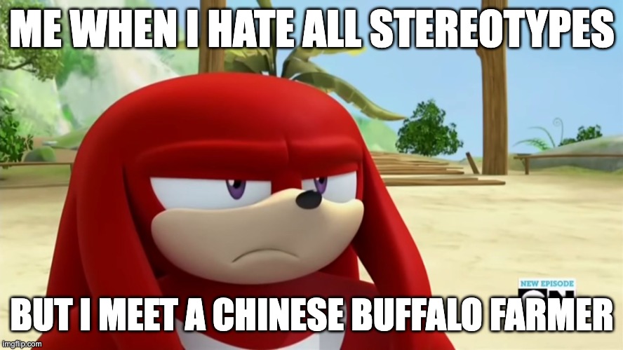 damn. | ME WHEN I HATE ALL STEREOTYPES; BUT I MEET A CHINESE BUFFALO FARMER | image tagged in knuckles is not impressed - sonic boom | made w/ Imgflip meme maker