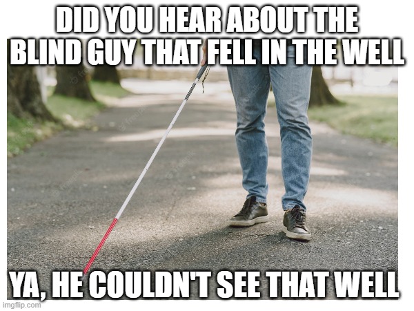 The blind guy | DID YOU HEAR ABOUT THE BLIND GUY THAT FELL IN THE WELL; YA, HE COULDN'T SEE THAT WELL | image tagged in memes,dumb jokes | made w/ Imgflip meme maker