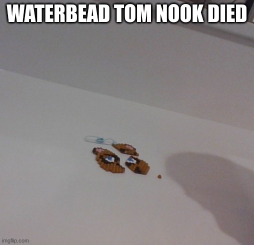 press f in the comments to be happy you and your acnh wallet will not be empty | WATERBEAD TOM NOOK DIED | image tagged in animal crossing | made w/ Imgflip meme maker