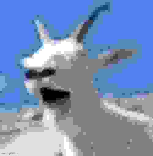 Laughing Goat | image tagged in memes,laughing goat | made w/ Imgflip meme maker