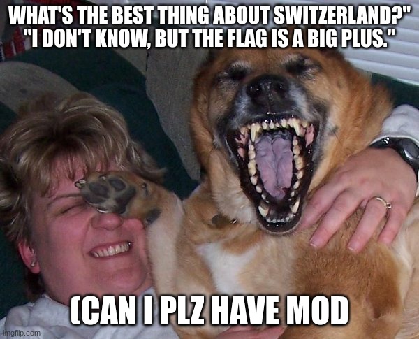 laughing dog | WHAT'S THE BEST THING ABOUT SWITZERLAND?" "I DON'T KNOW, BUT THE FLAG IS A BIG PLUS."; (CAN I PLZ HAVE MOD | image tagged in laughing dog | made w/ Imgflip meme maker