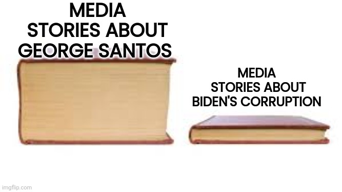 In Football piling on is a penalty | MEDIA STORIES ABOUT GEORGE SANTOS; MEDIA 
STORIES ABOUT BIDEN'S CORRUPTION | image tagged in big book small book,still a better love story than twilight,tell me more,tell me the truth i'm ready to hear it | made w/ Imgflip meme maker