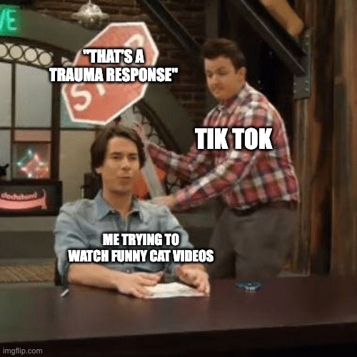 why is it all trauma | "THAT'S A TRAUMA RESPONSE"; TIK TOK; ME TRYING TO WATCH FUNNY CAT VIDEOS | image tagged in spencer getting hit by stop sign | made w/ Imgflip meme maker