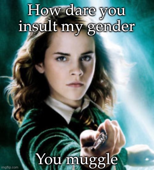 You muggle | How dare you insult my gender; You muggle | image tagged in hermoine granger | made w/ Imgflip meme maker