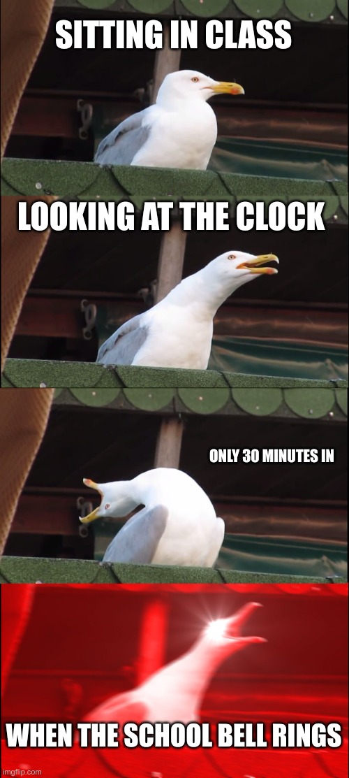 Inhaling Seagull Meme | SITTING IN CLASS; LOOKING AT THE CLOCK; ONLY 30 MINUTES IN; WHEN THE SCHOOL BELL RINGS | image tagged in memes,inhaling seagull | made w/ Imgflip meme maker