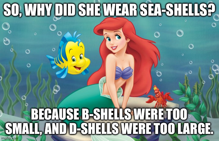 C-Shells | SO, WHY DID SHE WEAR SEA-SHELLS? BECAUSE B-SHELLS WERE TOO SMALL, AND D-SHELLS WERE TOO LARGE. | image tagged in little mermaid | made w/ Imgflip meme maker