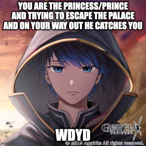 normal rules apply. | YOU ARE THE PRINCESS/PRINCE AND TRYING TO ESCAPE THE PALACE AND ON YOUR WAY OUT HE CATCHES YOU; WDYD | image tagged in roleplaying | made w/ Imgflip meme maker
