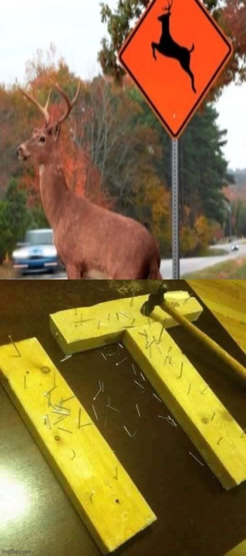 Road sign | image tagged in nailed it,animal,crossing,road sign,memes,road signs | made w/ Imgflip meme maker