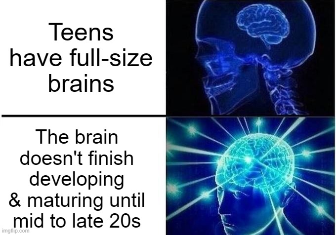 Teen Brains | Teens have full-size brains; The brain doesn't finish developing & maturing until mid to late 20s | image tagged in expanding brain two frames,brain,teenagers,fun fact,memes,the more you know | made w/ Imgflip meme maker