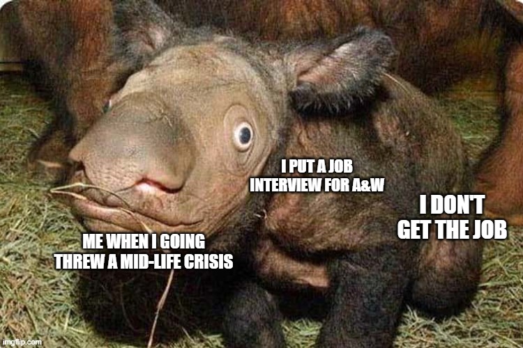 Animal | I PUT A JOB INTERVIEW FOR A&W; I DON'T GET THE JOB; ME WHEN I GOING THREW A MID-LIFE CRISIS | image tagged in funny memes | made w/ Imgflip meme maker