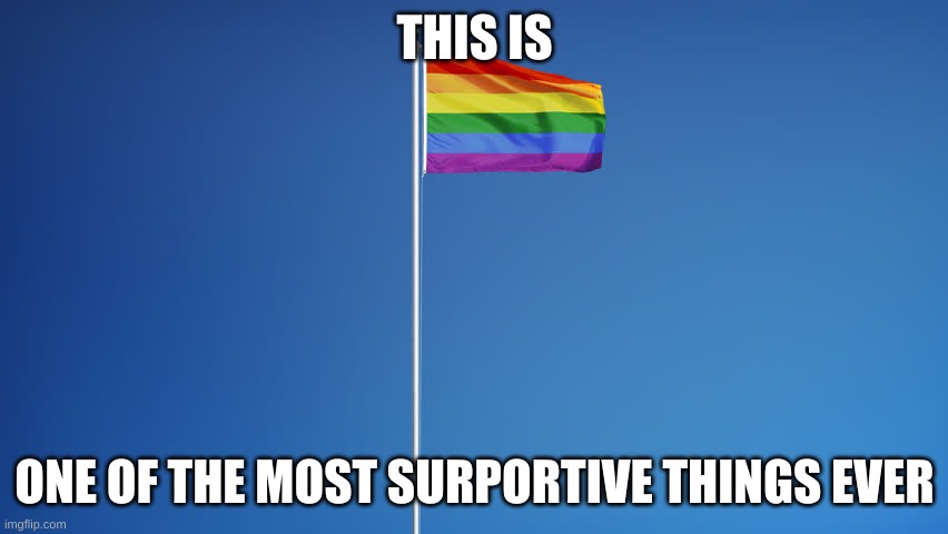 LGBTQ Flag | THIS IS; ONE OF THE MOST SUPPORTIVE
 THINGS EVER | image tagged in lgbtq flag | made w/ Imgflip meme maker