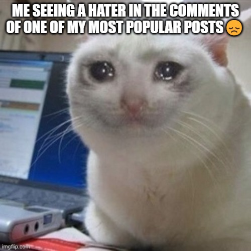 Crying cat | ME SEEING A HATER IN THE COMMENTS OF ONE OF MY MOST POPULAR POSTS😞 | image tagged in crying cat | made w/ Imgflip meme maker